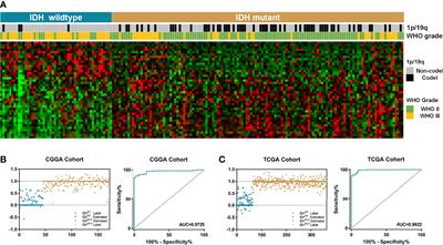 Identifying α-KG-dependent prognostic signature for lower-grade glioma based on transcriptome profiles